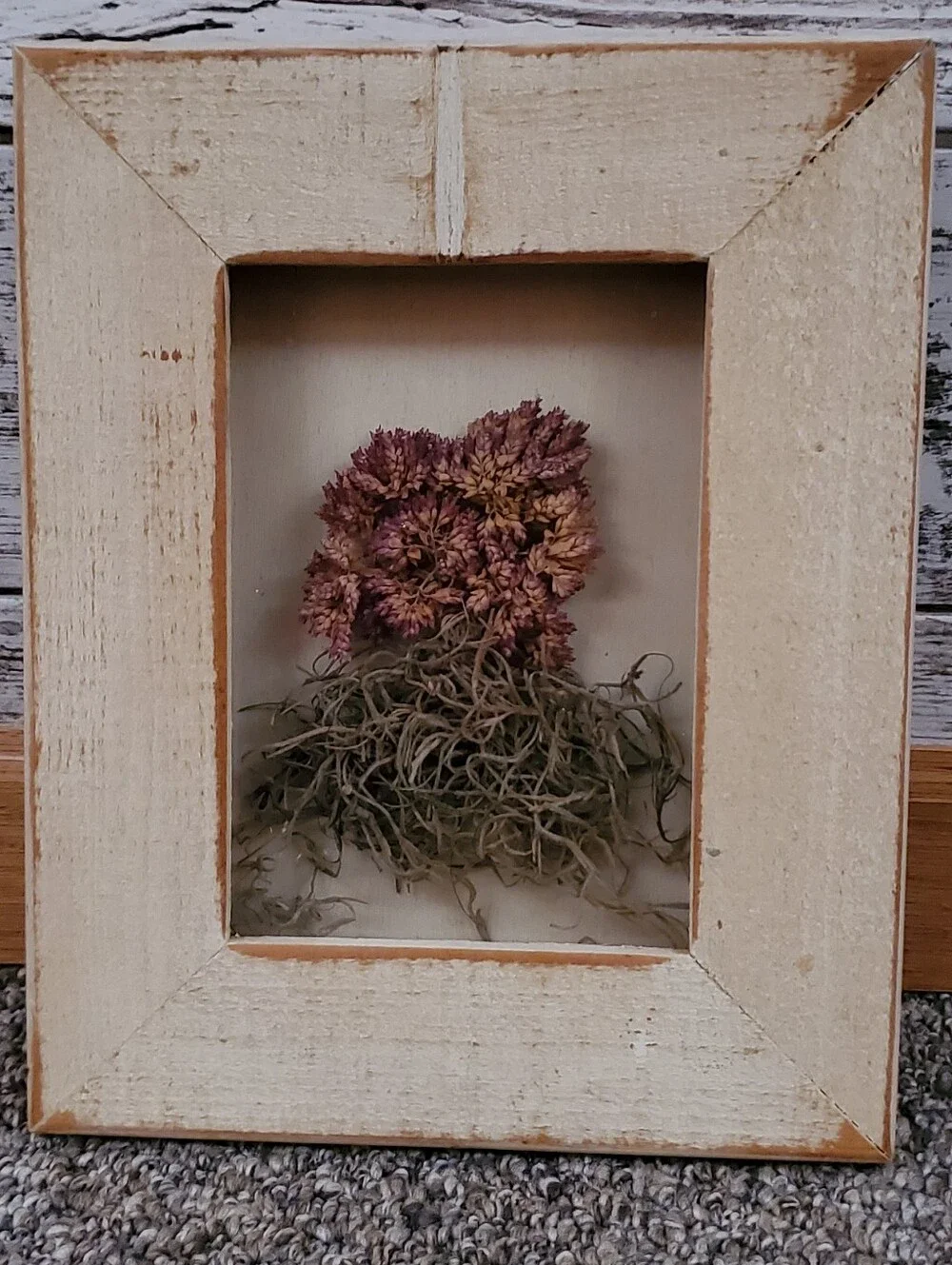 Rustic Framed Dried Pink Flower Shadow Box Botanical Wall Art 8x10